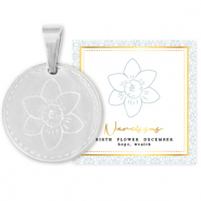 Stainless steel Mix & Match charms 15mm Birth flower December-Narcissus Silver