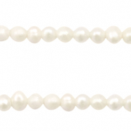 Freshwater pearls round 3mm Natural White