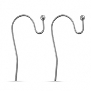 Stainless steel earrings Silver