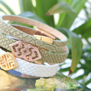 Inspirational Sets Reptile stripes with DQ sliders