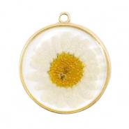 Beads / charms Charms and connectors with dried flowers 