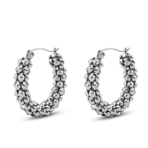 Stainless steel earrings / earpins Silver