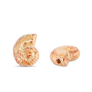 DQ greek ceramic beads shell Orange