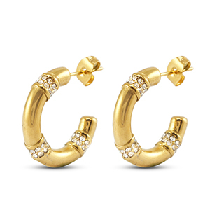 Stainless steel earrings / earpins Gold