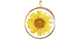 Charm with 1 loop/eye