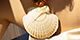 New shell charm collection
