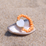 Create summery jewellery with shell beads, glass seed beads and many more items! 