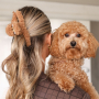 Inspiration time with teddy hair clamps