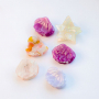 Create unique summer looks with our hair clips and clamps