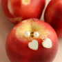 Mix and match with stainless steel freshwater pearl earrings