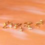 Inspiration time with stainless steel ear piercings