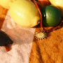 Get inspired by BY31&reg; Eco-Brass metal charms 